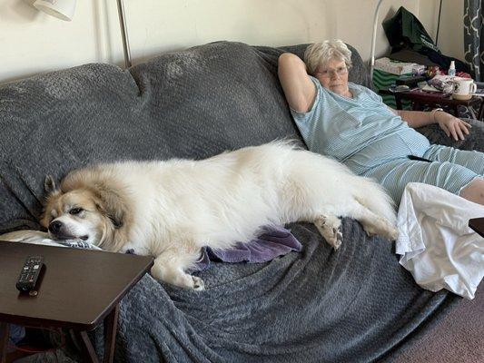 Holly’s Critter Care