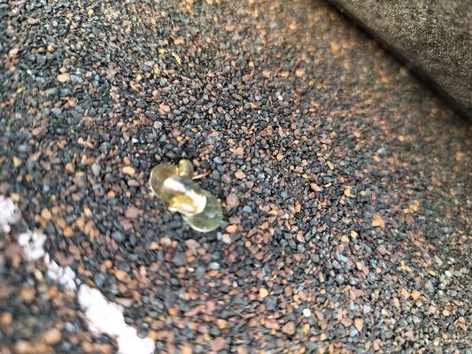 JAK Roofing and Remodeling