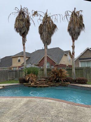 AAA Landscaping & Tree Services