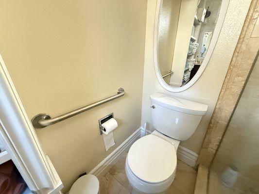 Toilet grab bar