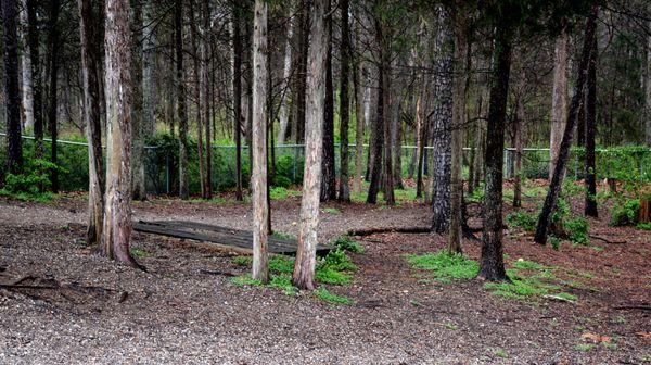 The Preserve Dog Park