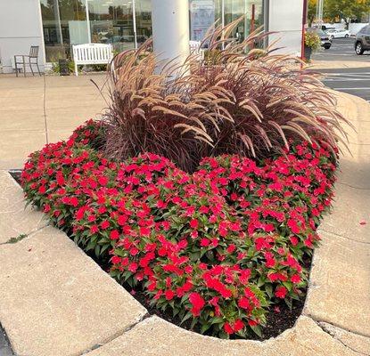 Inver Grove Toyota