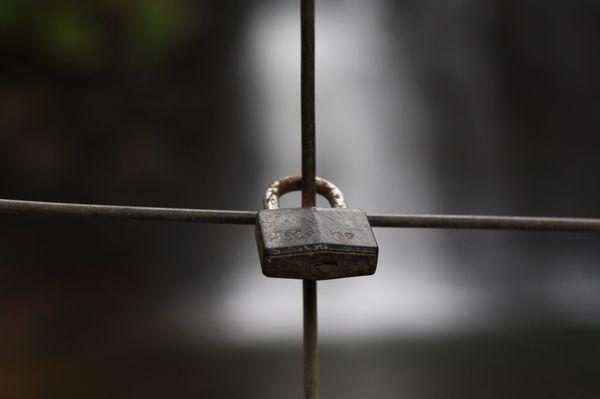 Griggs Nature Preserve