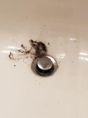 Hair clogged in sink from previous tenant. Cleaned by me. People hair dog hair..