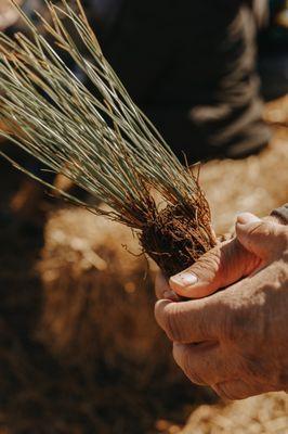 Windy Daniels Creative Studio