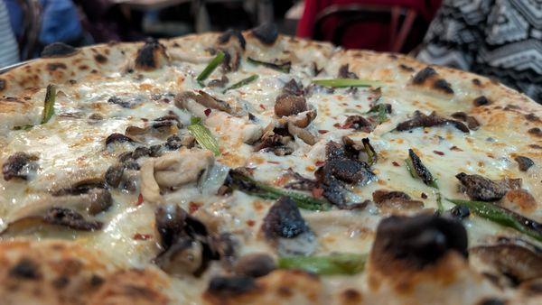 Funghi Pizza
