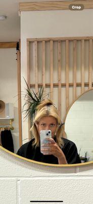 Before..my grey regrowth and overly blond ends.