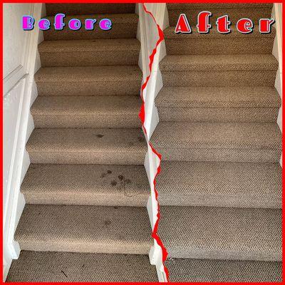 Rino Carpet Cleaning
