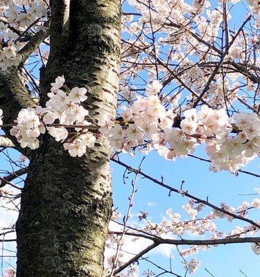 Brookside Reservation