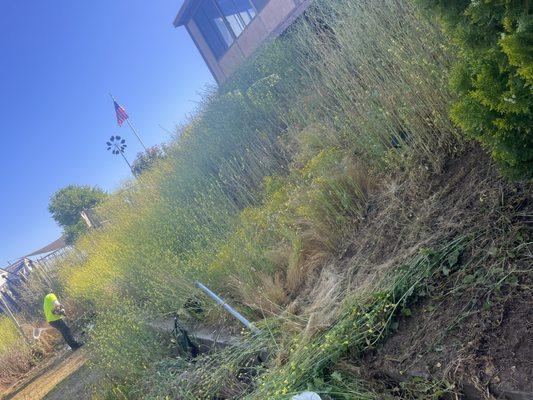 Los Dos Amigos Landscaping