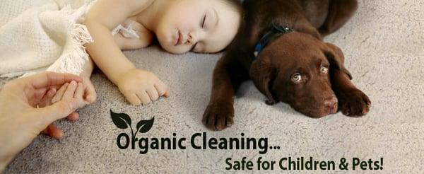 Fort Totten Carpet Cleaning DC