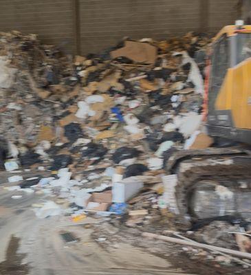 Brown & White Transport