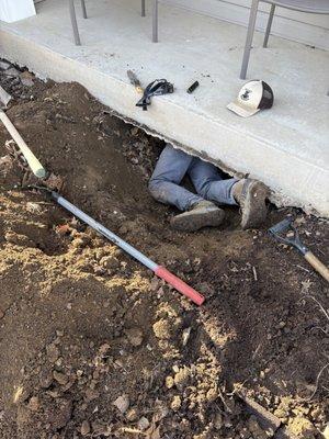 Rowlands Wildlife Control