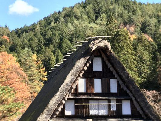 Japanese Acupuncture Clinic