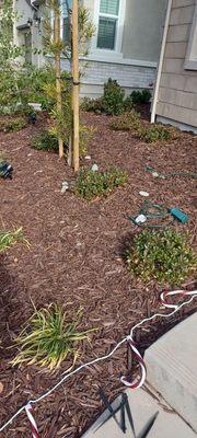 Los primos Landscaping