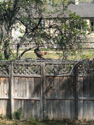 Case Construction And Roofing LLC