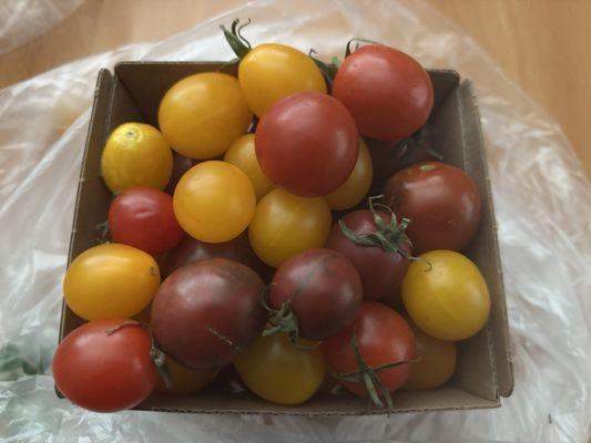 Durst Organic Growers