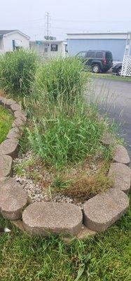 The sign in front saying Parma Estates