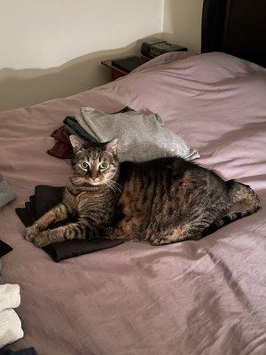 Unity Animal Hospital