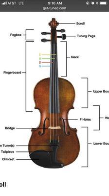 Violin parts