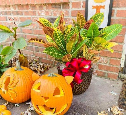 Accents Floral And Gifts