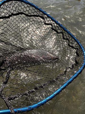 Phantom Tri-River Charters