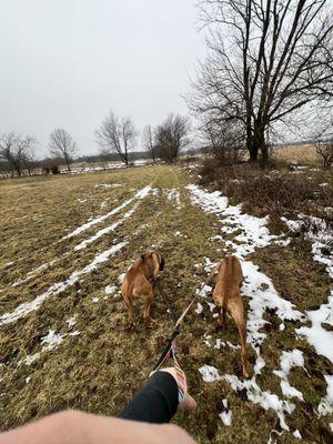 2 Peas In A Pod Pet Care