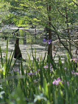 Briarwood Nature Preserve