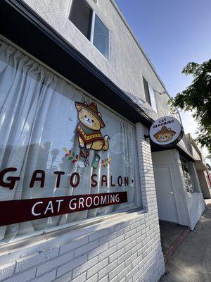 Gato Salon