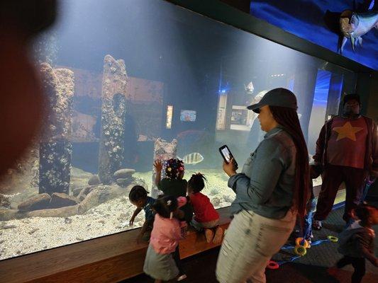 On-Point Wisdom Learning Academy