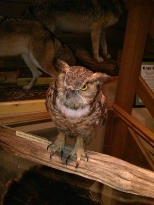 Kettle Morraine State Forest- Northern Unit