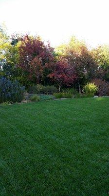 Redwood Landscaping Service