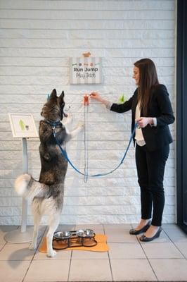 North Side Bank & Trust Company