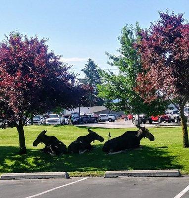 Strategic Property Solutions