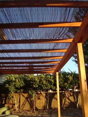 Amazon's Landscaping