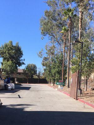 Driving behind the shopping center