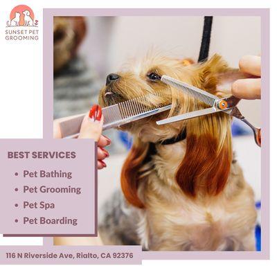 Come and try our services