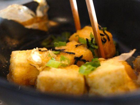 fried tofu appetizer. The breading so delicate it's delectable.