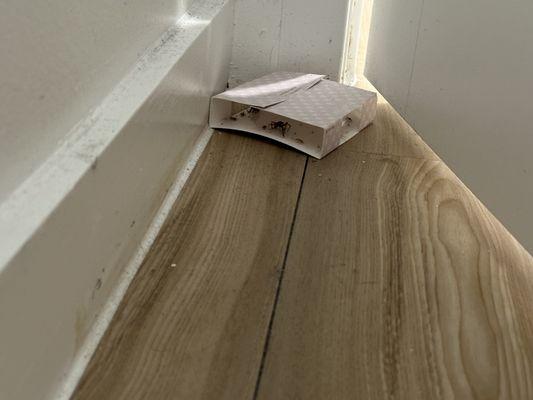 The Retreat At Sunset Walk