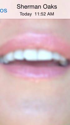 Guillermo A Roman, DDS