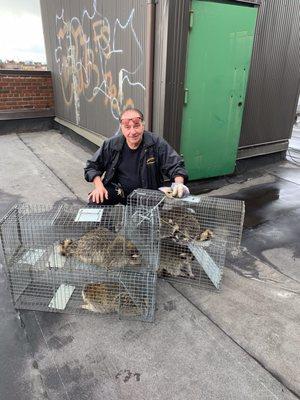 Brooklyn Pest Control