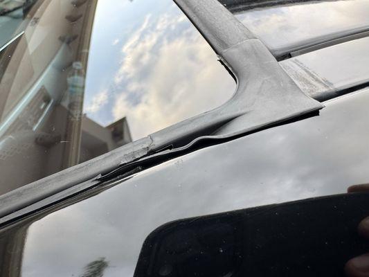 Orange Blossom Auto Glass