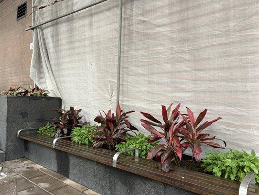 Interior Foliage Design