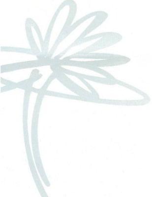 Center For Holistic Medicine