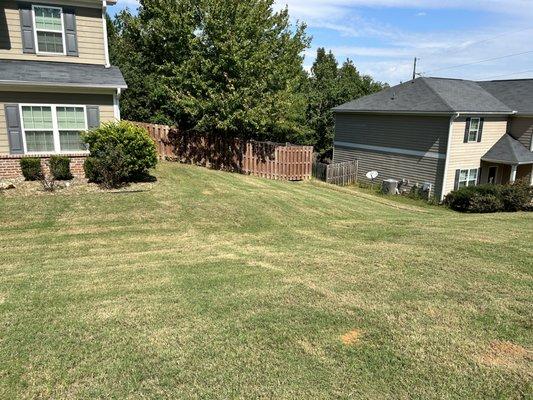 Taking Out People’s Problems