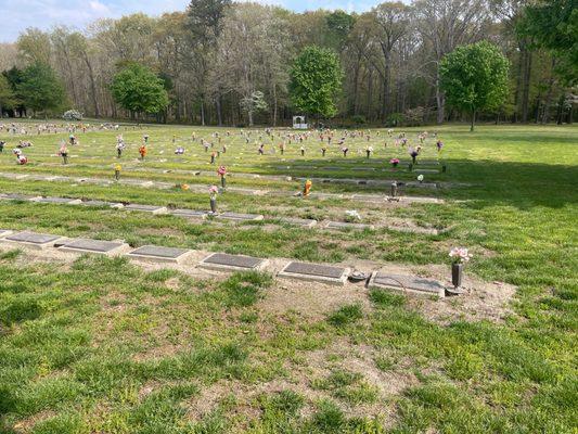 Delaware Veterans Memorial Cemetery