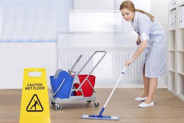 Flores Home Cleaning Services