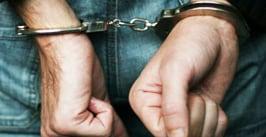 The Law Offices of Dustan Neyland