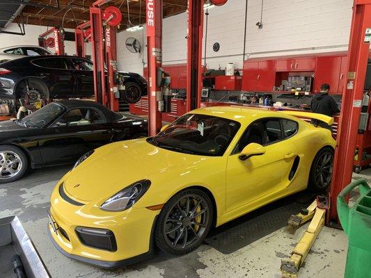 Pacific Lift and Equipment Company