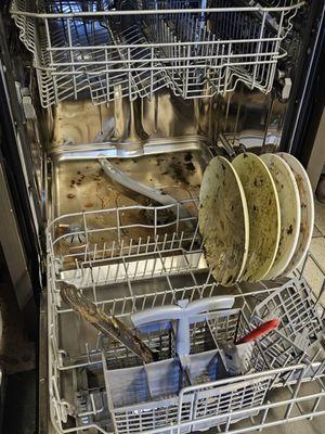 Green Clean Professional Services